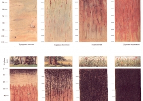 Карта глубины промерзания грунтов